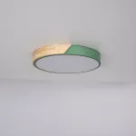 Потолочный светильник CLIP Green D40 от ImperiumLoft