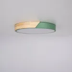 Потолочный светильник CLIP Green D40 от ImperiumLoft