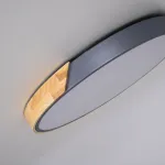 Потолочный светильник CLIP Grey D50 от ImperiumLoft