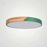 Потолочный светильник CLIP Green D50 от ImperiumLoft