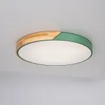 Потолочный светильник CLIP Green D50 от ImperiumLoft