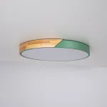 Потолочный светильник CLIP Green D50 от ImperiumLoft