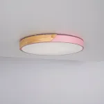 Потолочный светильник CLIP Pink D50 от ImperiumLoft