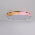 Потолочный светильник CLIP Pink D50 от ImperiumLoft