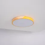 Потолочный светильник CLIP Yellow D50 от ImperiumLoft