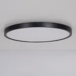 Потолочный светильник EXTRASLIM D40 Black от ImperiumLoft