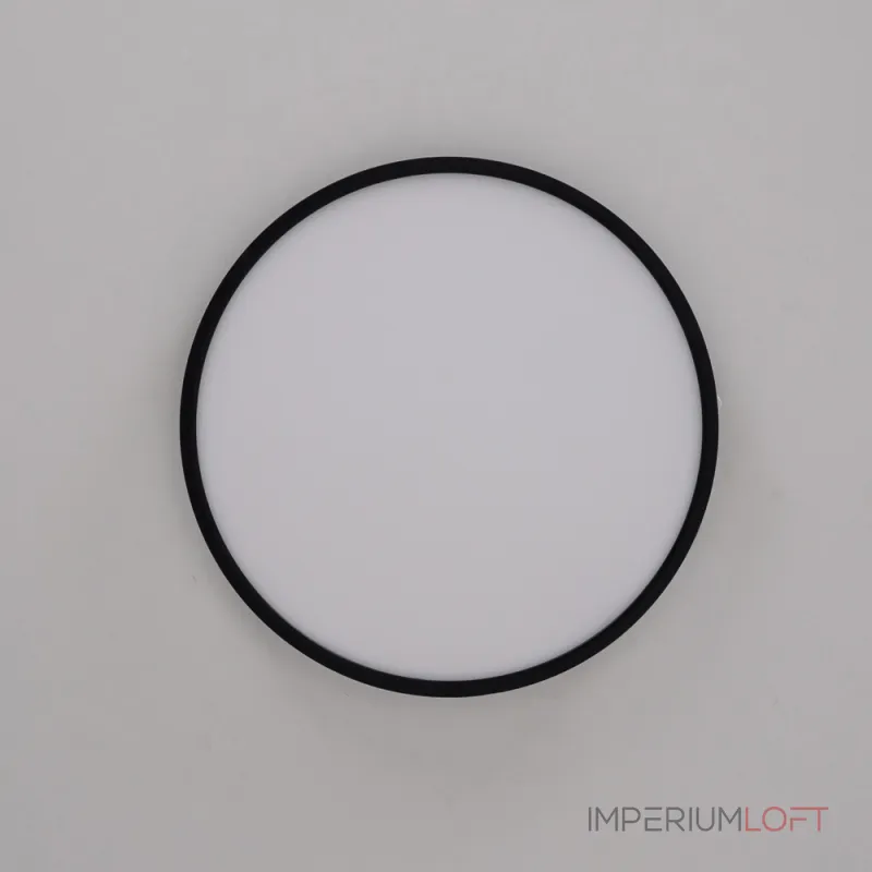Потолочный светильник EXTRASLIM D40 Black от ImperiumLoft