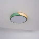 Потолочный светильник CLIP Green D30 от ImperiumLoft