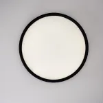 Потолочный светильник EXTRASLIM D60 Black от ImperiumLoft