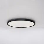 Потолочный светильник EXTRASLIM D80 Black от ImperiumLoft