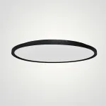 Потолочный светильник EXTRASLIM D80 Black от ImperiumLoft