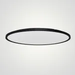 Потолочный светильник EXTRASLIM D100 Black от ImperiumLoft