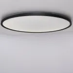 Потолочный светильник EXTRASLIM D100 Black от ImperiumLoft