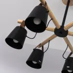 Люстра на штанге NATURA C6 black