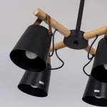 Люстра на штанге NATURA C4 black