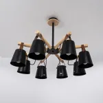 Люстра на штанге NATURA C8 black