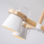 Люстра на штанге NATURA B6 White