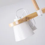 Люстра на штанге NATURA B6 White