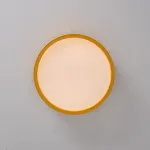Потолочный светильник KIER D30 Yellow от ImperiumLoft