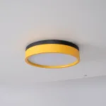 Потолочный светильник KIER D30 Yellow от ImperiumLoft