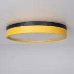 Потолочный светильник KIER D40 Yellow от ImperiumLoft
