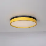 Потолочный светильник KIER D40 Yellow от ImperiumLoft