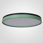 Потолочный светильник KIER D60 Green от ImperiumLoft
