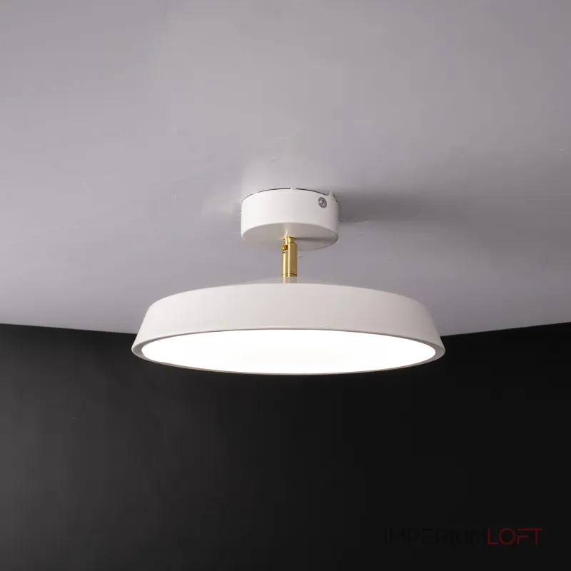 Потолочный светильник BIRK D30 White от ImperiumLoft Потолочный светильник BIRK D30 White от ImperiumLoft