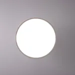 Потолочный светильник BIRK D30 White от ImperiumLoft