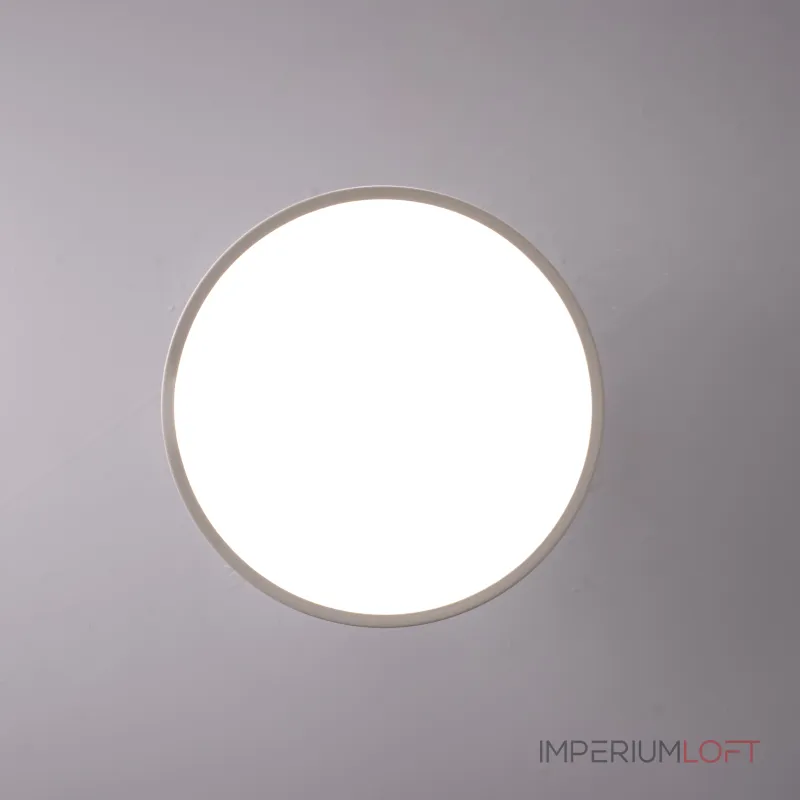 Потолочный светильник BIRK D30 White от ImperiumLoft Потолочный светильник BIRK D30 White от ImperiumLoft