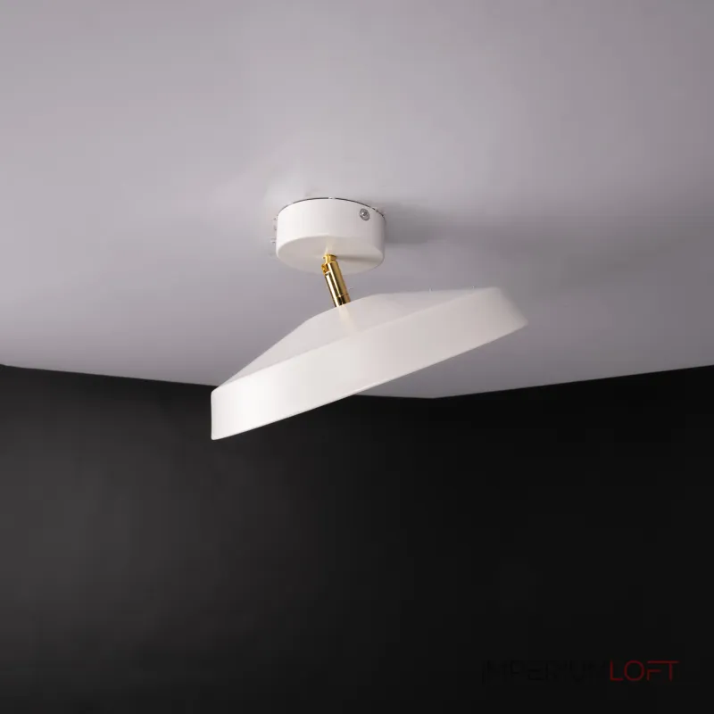 Потолочный светильник BIRK D30 White от ImperiumLoft Потолочный светильник BIRK D30 White от ImperiumLoft