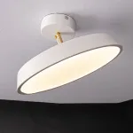 Потолочный светильник BIRK D30 White от ImperiumLoft