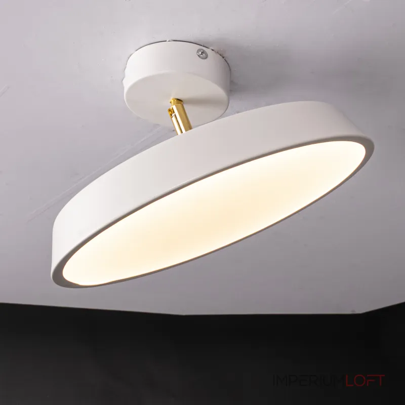 Потолочный светильник BIRK D30 White от ImperiumLoft Потолочный светильник BIRK D30 White от ImperiumLoft