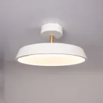 Потолочный светильник BIRK D30 White от ImperiumLoft