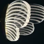 Подвесной светильник BABETTA 3000К от ImperiumLoft