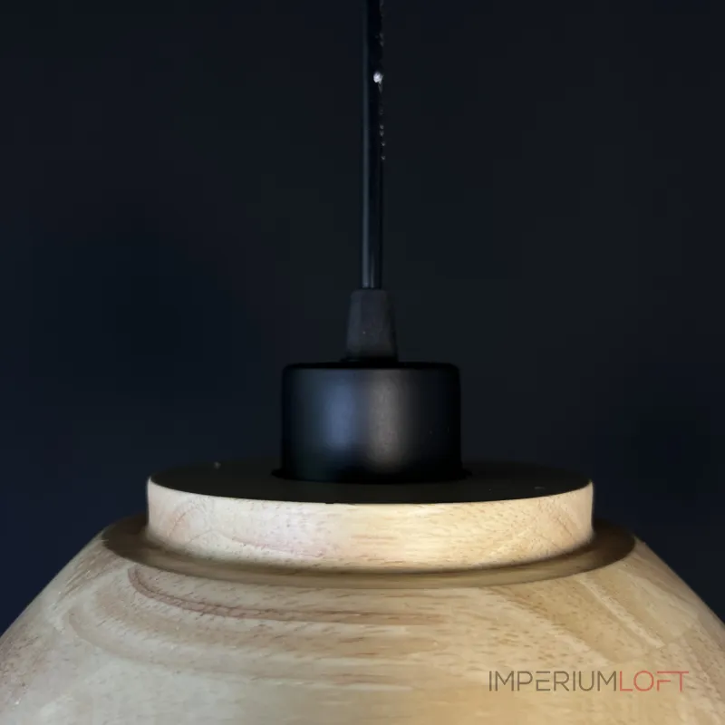 Подвесной светильник ECO Черный от ImperiumLoft