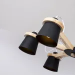 Люстра на штанге NATURA B6 Black