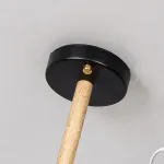 Люстра на штанге NATURA B6 Black