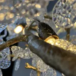 Подвесная люстра CARAMELLY A D120 от ImperiumLoft