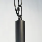 Подвесная люстра FANNY 12 Black