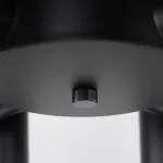 Подвесная люстра FANNY 12 Black