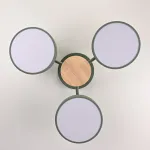 Потолочная люстра MOVE 3 Green от ImperiumLoft