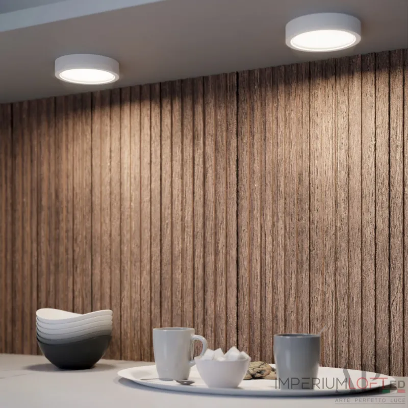 Светильник накладной светодиодный APL LED Ingrid 3322.LDY6004M/6W/6K от ImperiumLoft