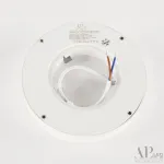 Светильник накладной светодиодный APL LED Ingrid 3322.LDY6004M/6W/6K от ImperiumLoft
