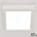 Светильник накладной светодиодный 3322.LDF6004M/6W/6K APL LED от ImperiumLoft