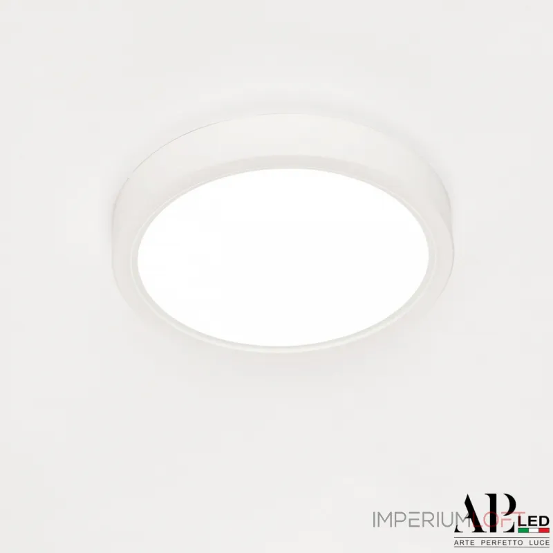 Светильник накладной светодиодный APL LED Ingrid 3322.LDY1604M/12W/6K от ImperiumLoft Светильник накладной светодиодный APL LED Ingrid 3322.LDY1604M/12W/6K от ImperiumLoft