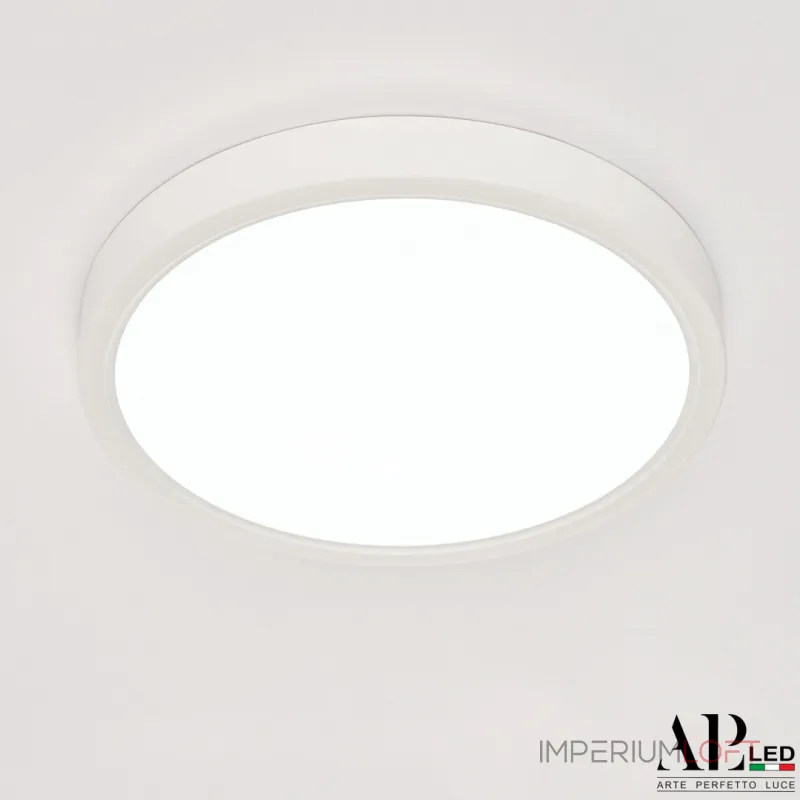 Светильник накладной светодиодный APL LED Ingrid 3322.LDY2004M/18W/6K от ImperiumLoft Светильник накладной светодиодный APL LED Ingrid 3322.LDY2004M/18W/6K от ImperiumLoft