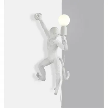 Светильник настенный Aployt Magali APL.309.11.01