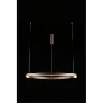 Подвесная люстра Aployt Nisia APL.025.03.60