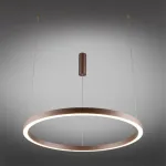 Подвесная люстра Aployt Nisia APL.025.03.60